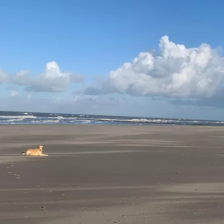 Holiday home Traumblick, Traumlage Nr 31 Erste Reihe Direkt Am Wattenmeer - B63876 Westerland